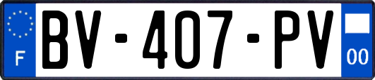 BV-407-PV