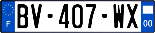 BV-407-WX