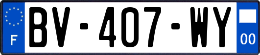 BV-407-WY