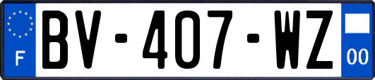 BV-407-WZ