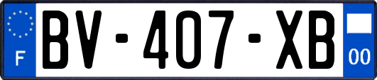 BV-407-XB