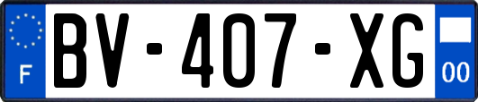 BV-407-XG