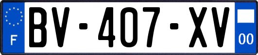 BV-407-XV