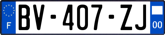 BV-407-ZJ