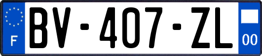 BV-407-ZL