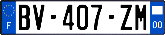 BV-407-ZM