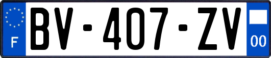 BV-407-ZV