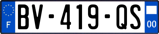 BV-419-QS