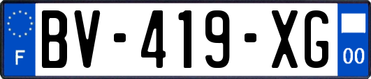 BV-419-XG
