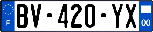 BV-420-YX