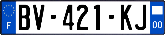 BV-421-KJ