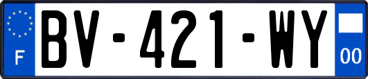 BV-421-WY