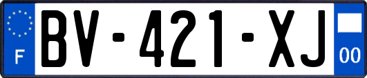 BV-421-XJ