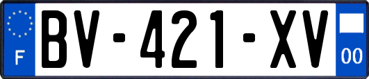 BV-421-XV