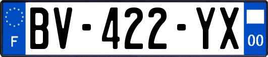 BV-422-YX