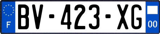 BV-423-XG