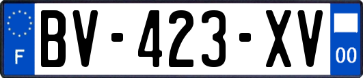 BV-423-XV