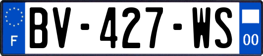 BV-427-WS