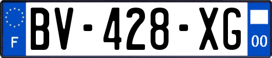 BV-428-XG