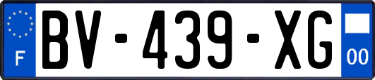 BV-439-XG