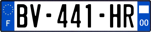 BV-441-HR