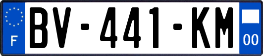BV-441-KM