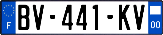 BV-441-KV