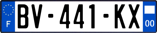 BV-441-KX