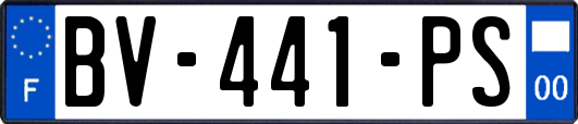 BV-441-PS