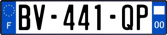 BV-441-QP