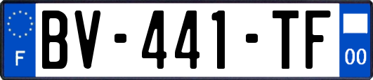 BV-441-TF