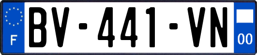 BV-441-VN