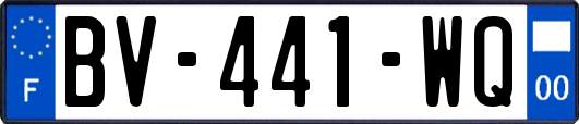 BV-441-WQ