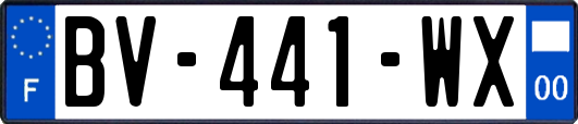 BV-441-WX