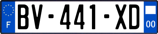 BV-441-XD