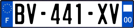 BV-441-XV