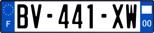 BV-441-XW