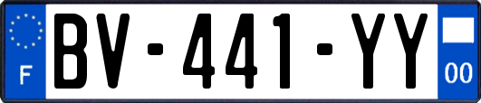 BV-441-YY