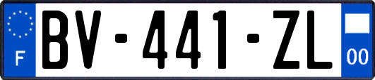 BV-441-ZL