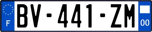 BV-441-ZM