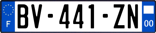 BV-441-ZN