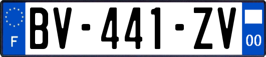 BV-441-ZV