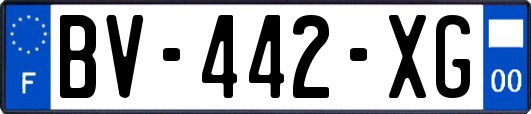 BV-442-XG