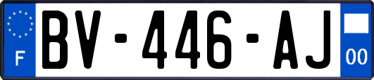 BV-446-AJ