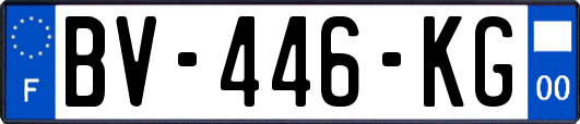 BV-446-KG