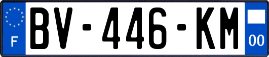 BV-446-KM