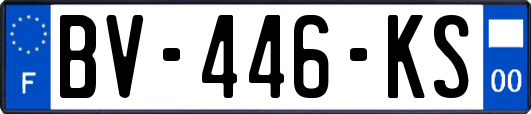 BV-446-KS