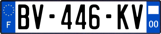 BV-446-KV