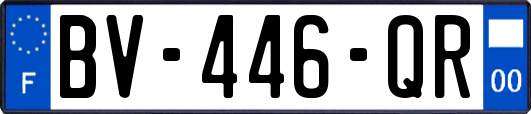 BV-446-QR