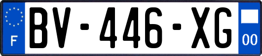 BV-446-XG